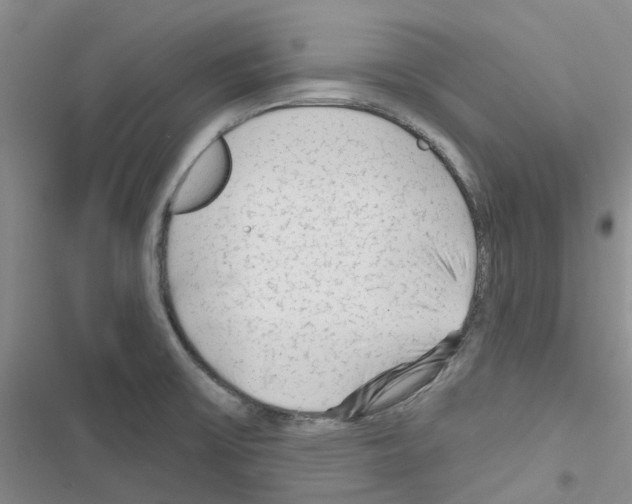 X0000116671475201001251228