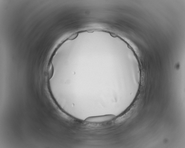 X0000116671477201001251228