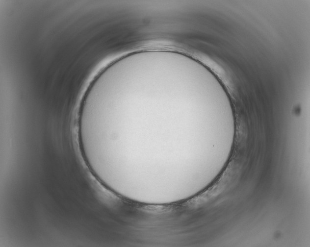 X0000116671478201001251228