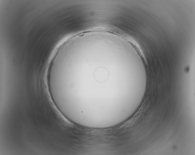 X0000116671480201001251228