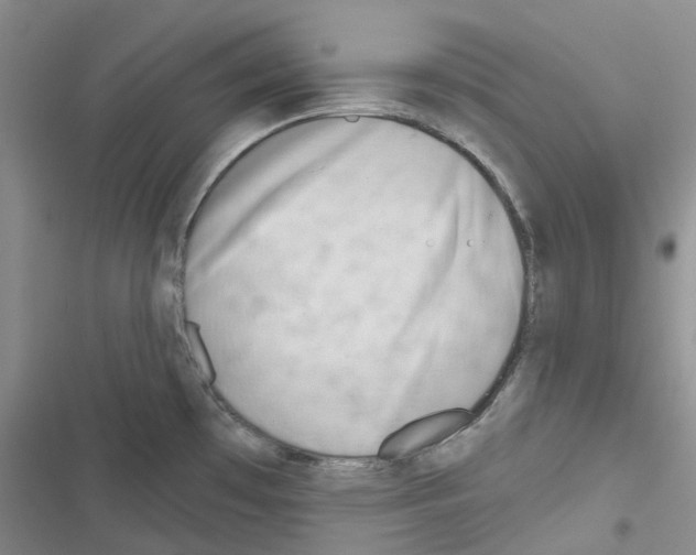 X0000116671481201001251228