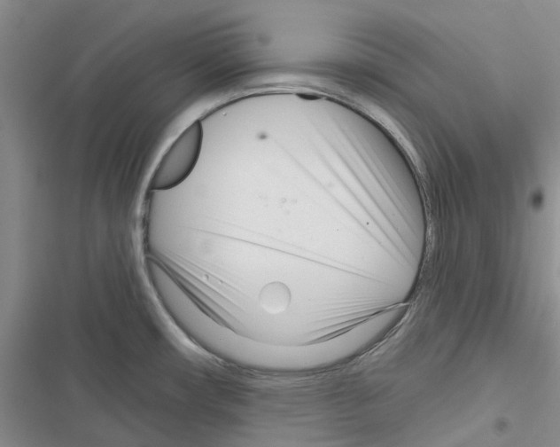 X0000116671482201001251228