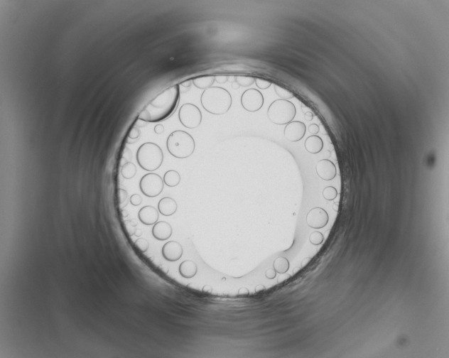 X0000116671483201001251228