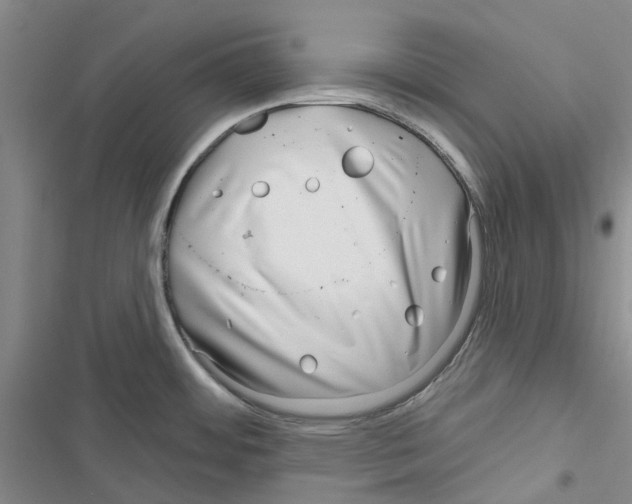 X0000116671484201001251228