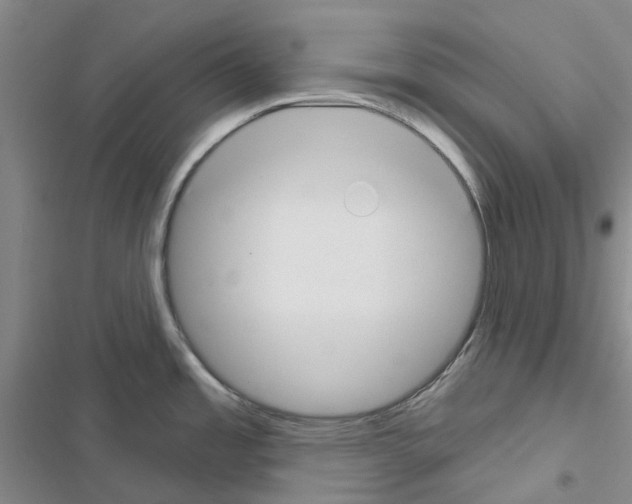 X0000116671485201001251228