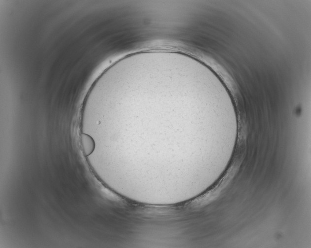 X0000116671486201001251228