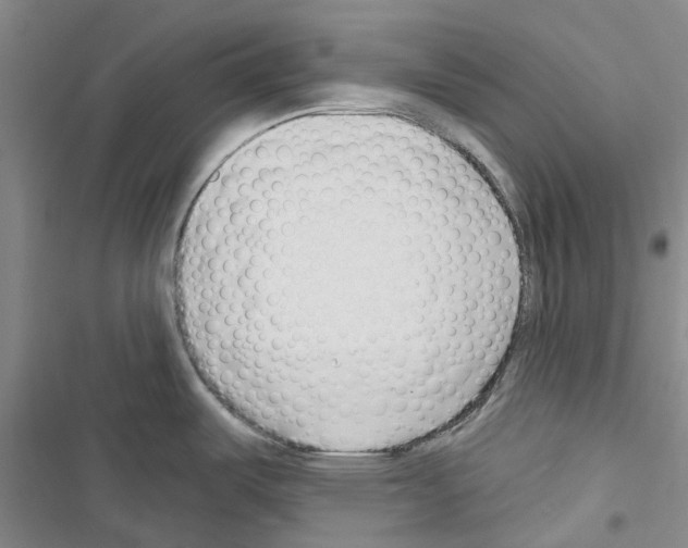 X0000116671487201001251228