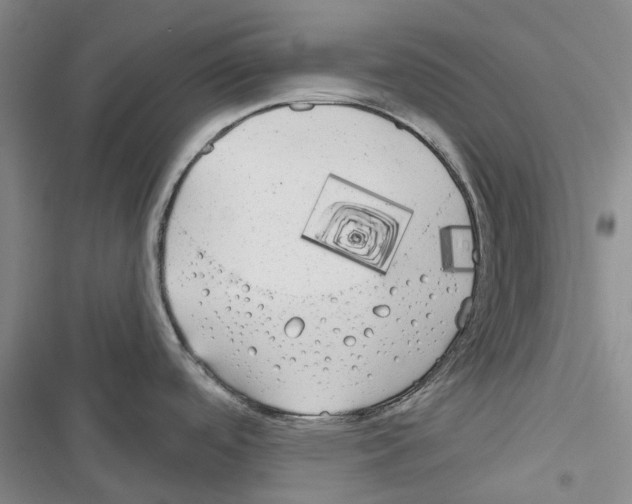 X0000116671488201001251228
