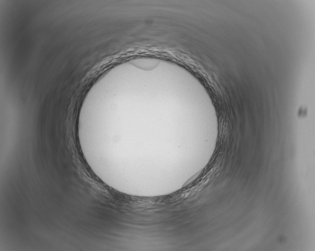 X0000116671489201001251228