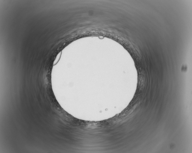 X0000116671490201001251228