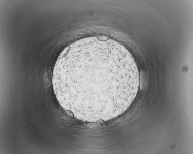 X0000116671491201001251228