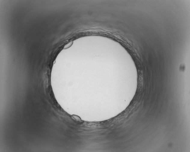 X0000116671493201001251228