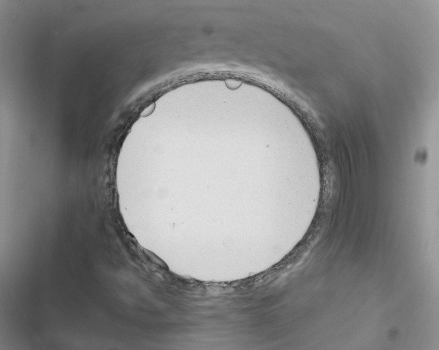 X0000116671494201001251228