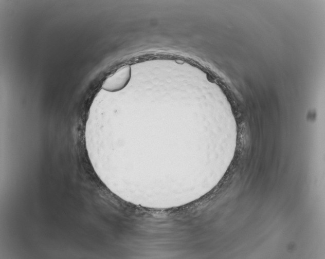 X0000116671495201001251228