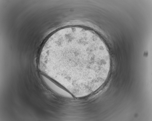 X0000116671497201001251228