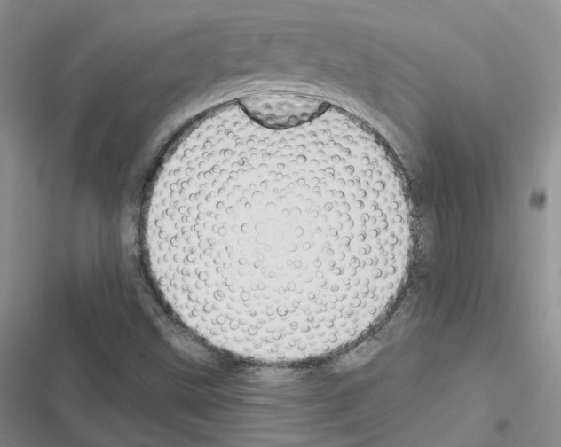 X0000116671499201001251228
