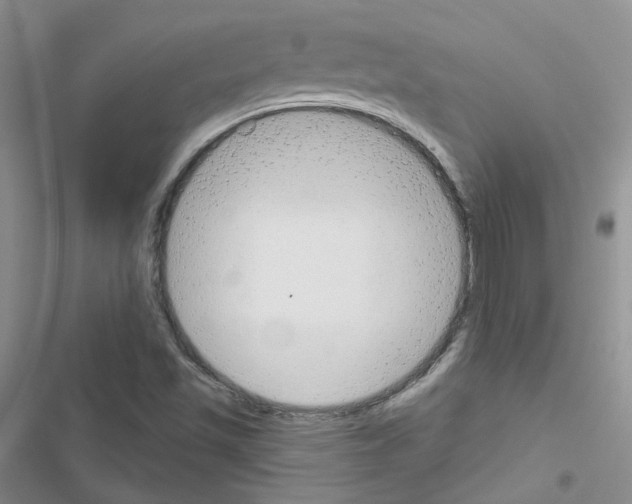 X0000116671501201001251228