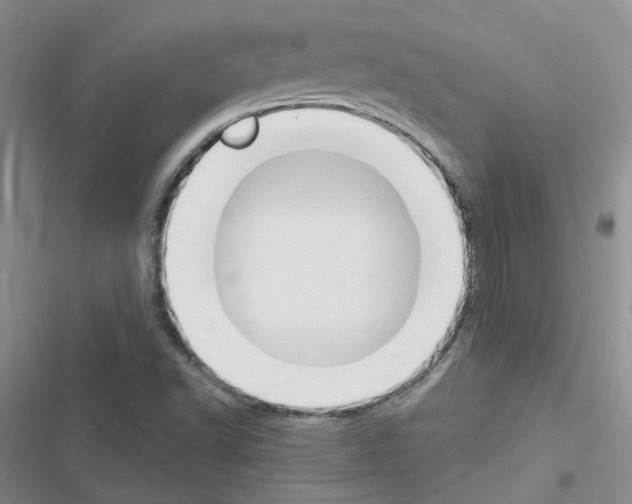 X0000116671502201001251228