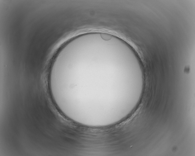 X0000116671503201001251228