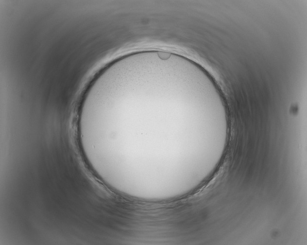 X0000116671507201001251228