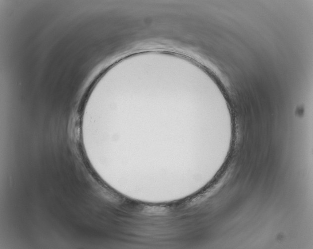 X0000116671509201001251228
