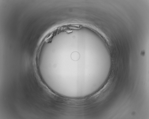 X0000116671510201001251228