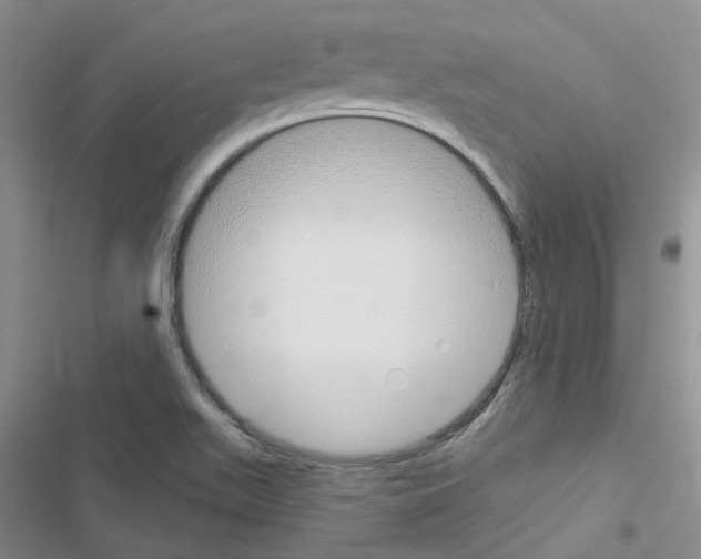 X0000116671511201001251228