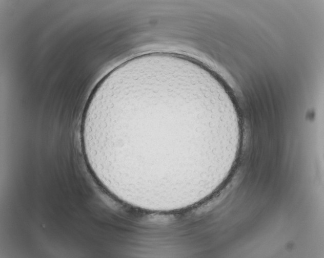X0000116671513201001251228