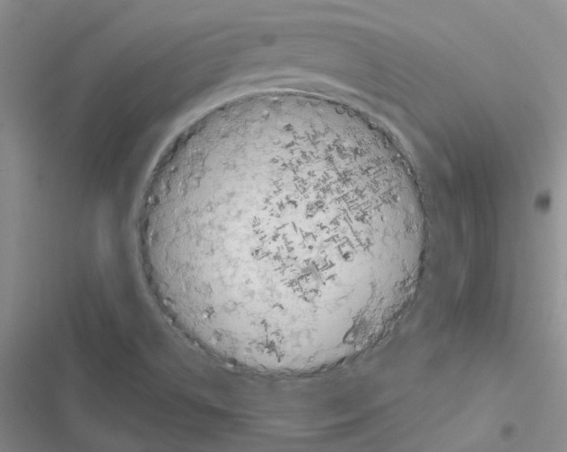 X0000116671514201001251228