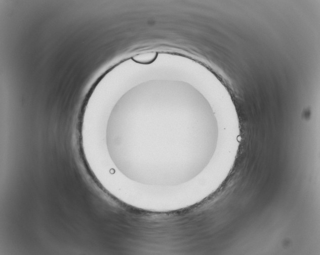 X0000116671518201001251228