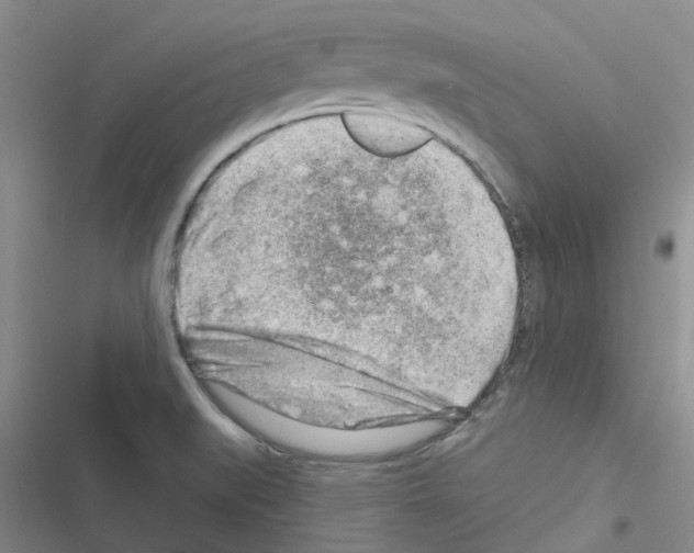 X0000116671519201001251228
