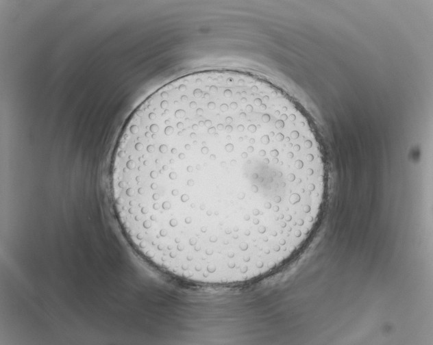 X0000116671521201001251228