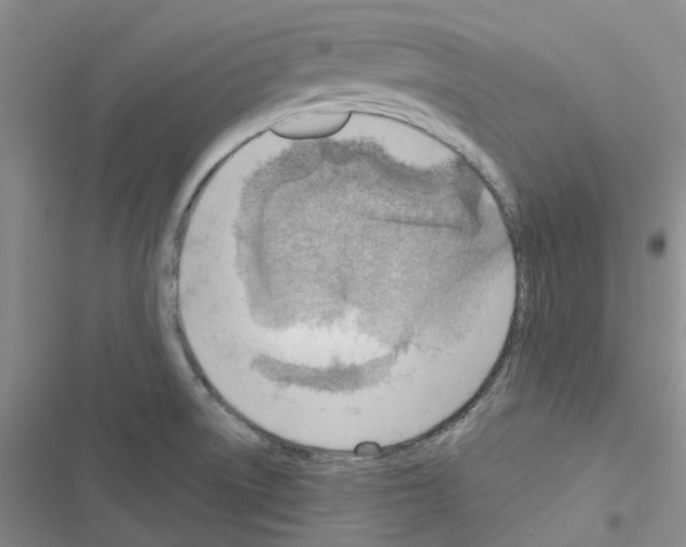 X0000116671522201001251228