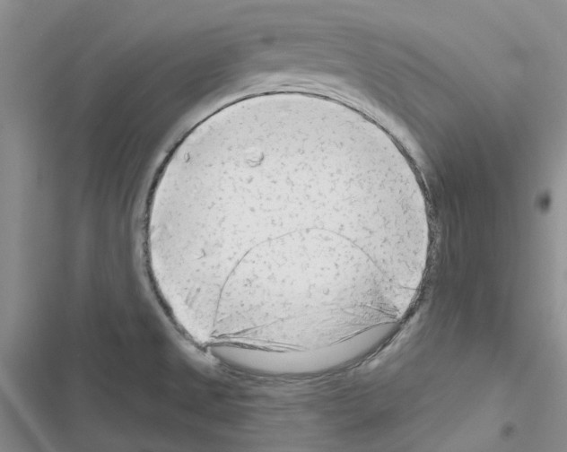 X0000116671525201001251228