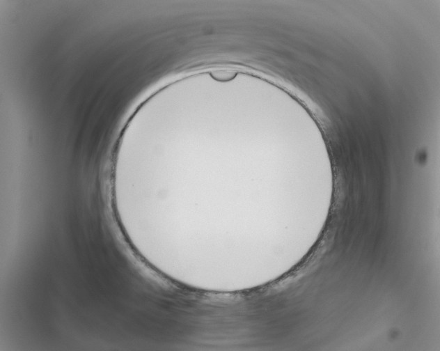 X0000116671526201001251228