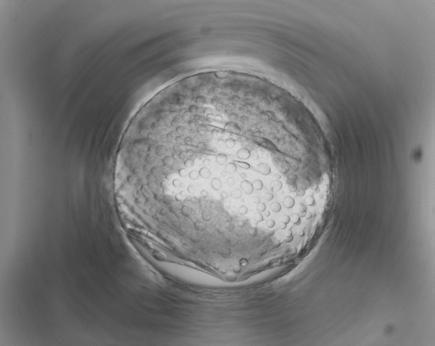 X0000116671529201001251228