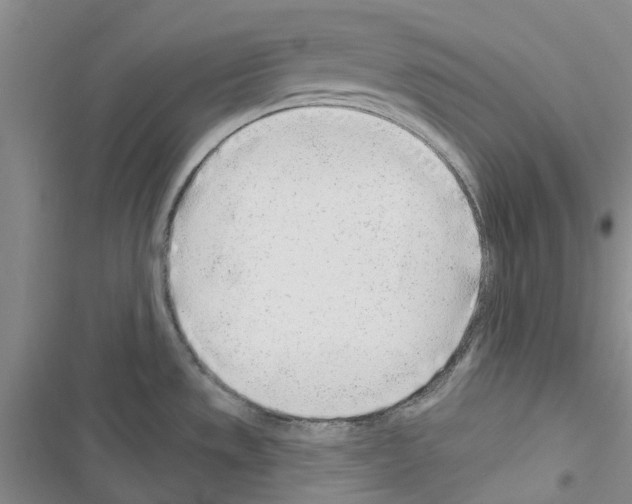 X0000116671533201001251228