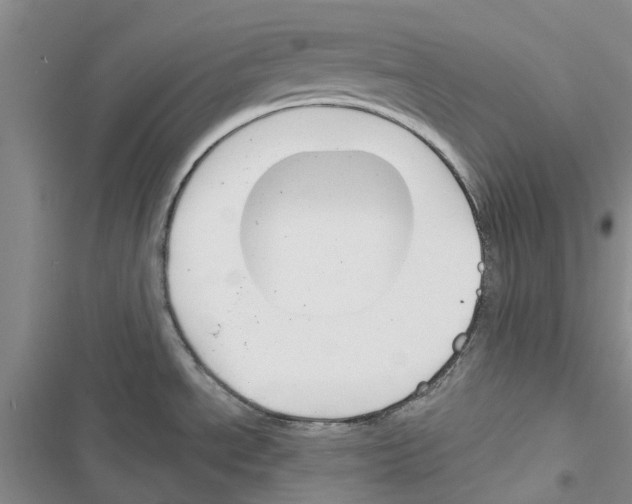 X0000116671534201001251228
