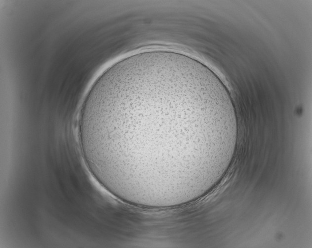 X0000116671535201001251228