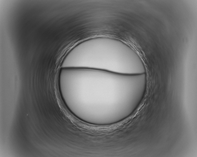 X0000116680001200912141014