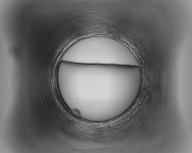 X0000116680002200912141014