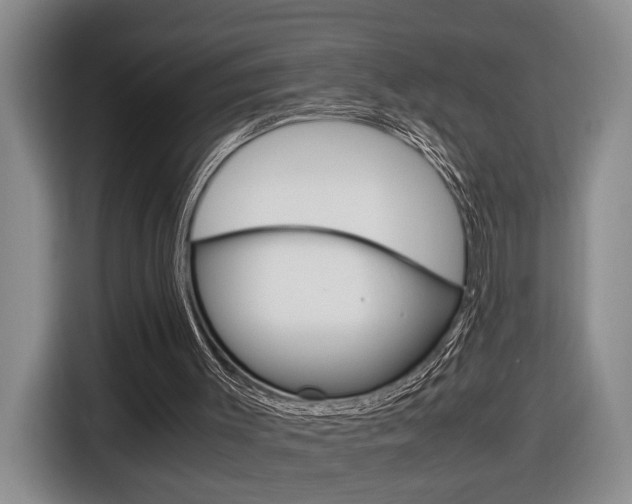 X0000116680003200912141014