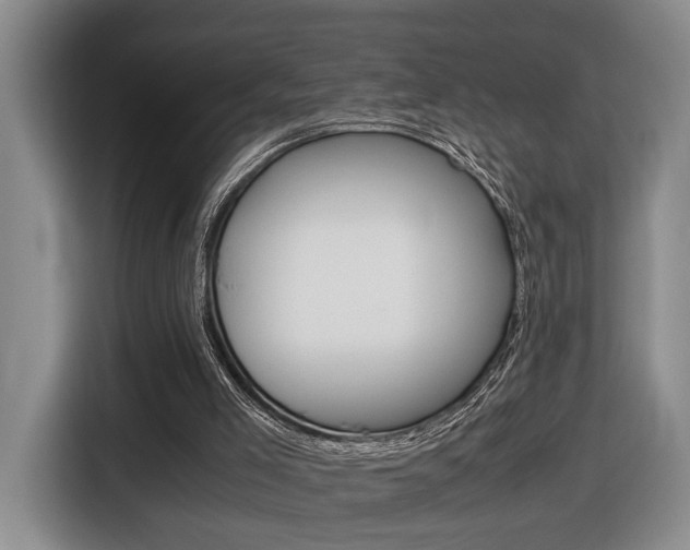 X0000116680005200912141014