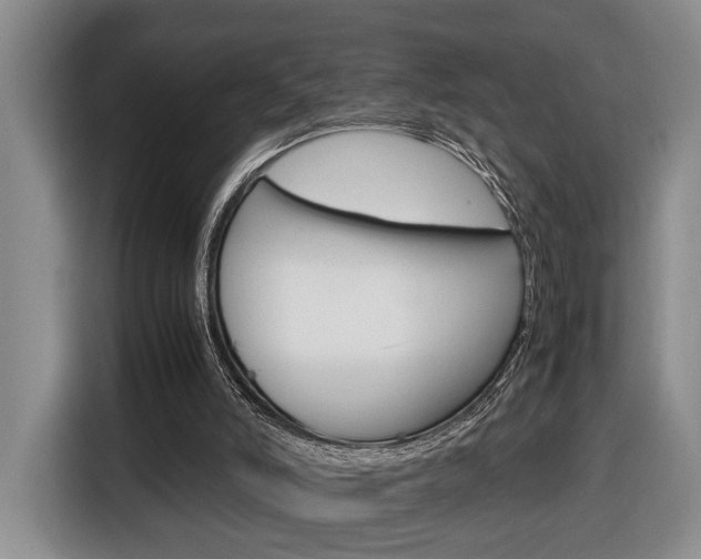 X0000116680006200912141014