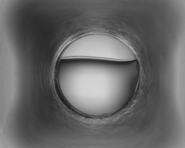 X0000116680007200912141014