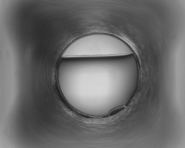 X0000116680009200912141014