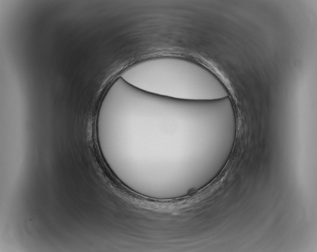 X0000116680010200912141014