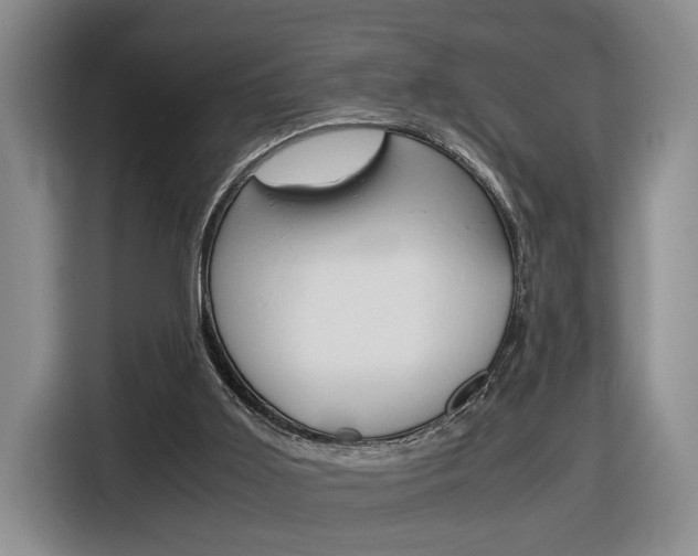 X0000116680011200912141014