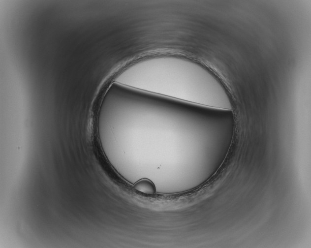 X0000116680016200912141014