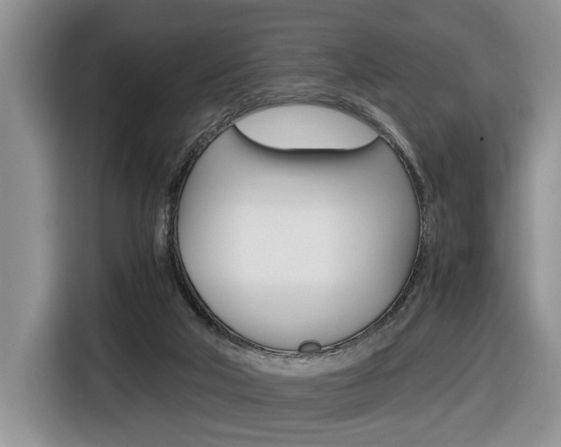X0000116680018200912141014